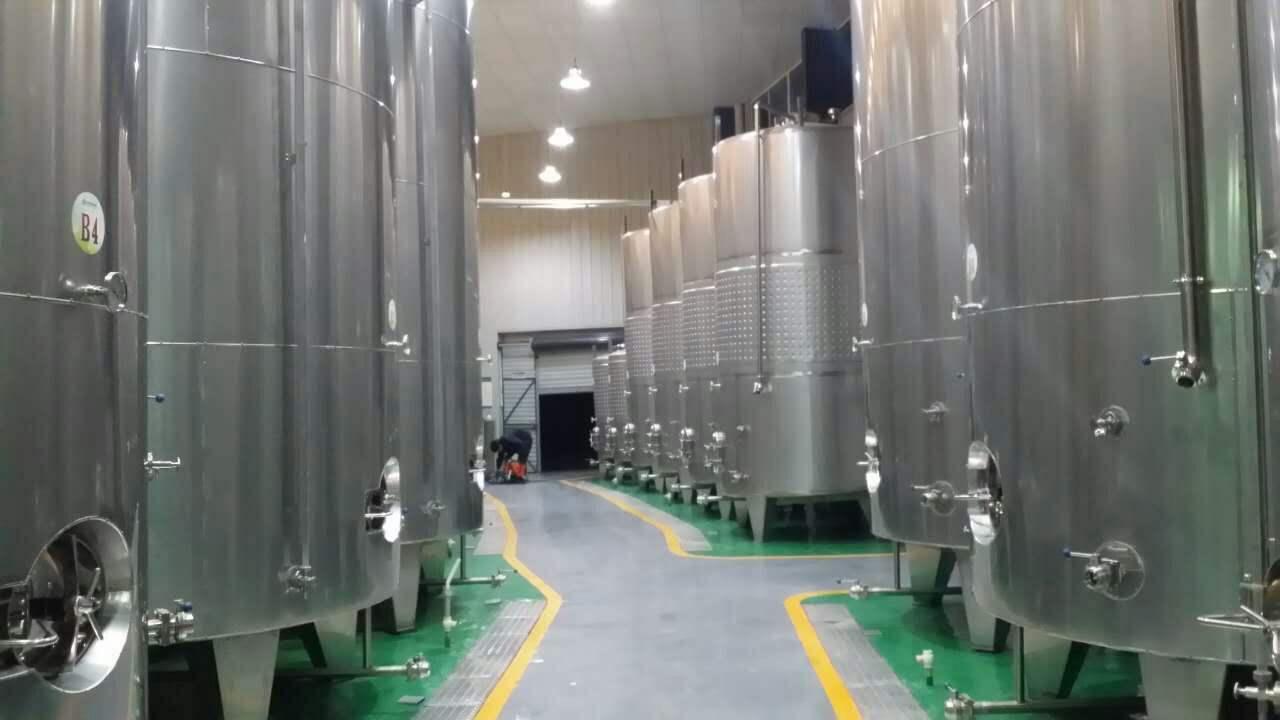 蓝莓果酒生产线设备
